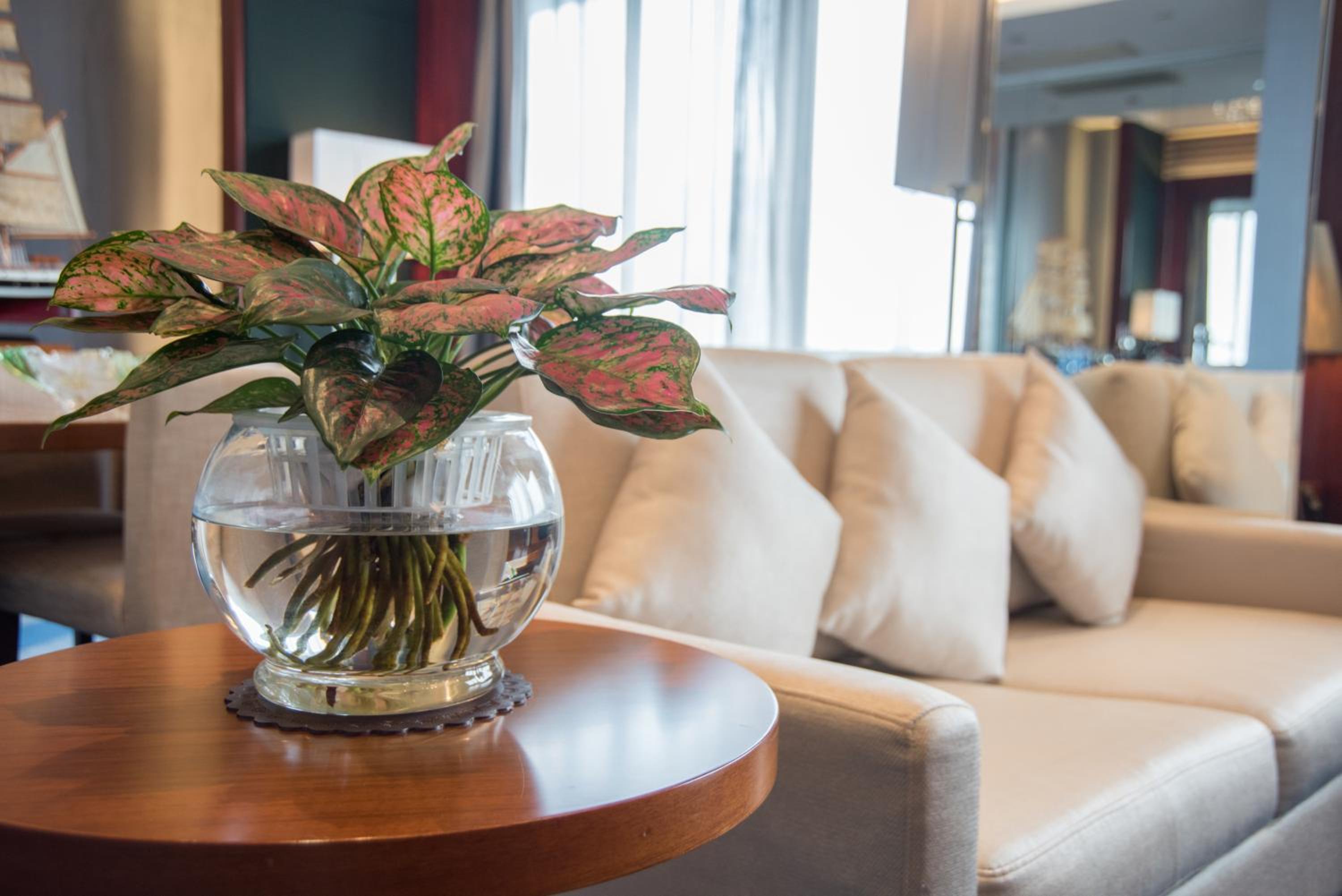 Ocean Superior Business suite room