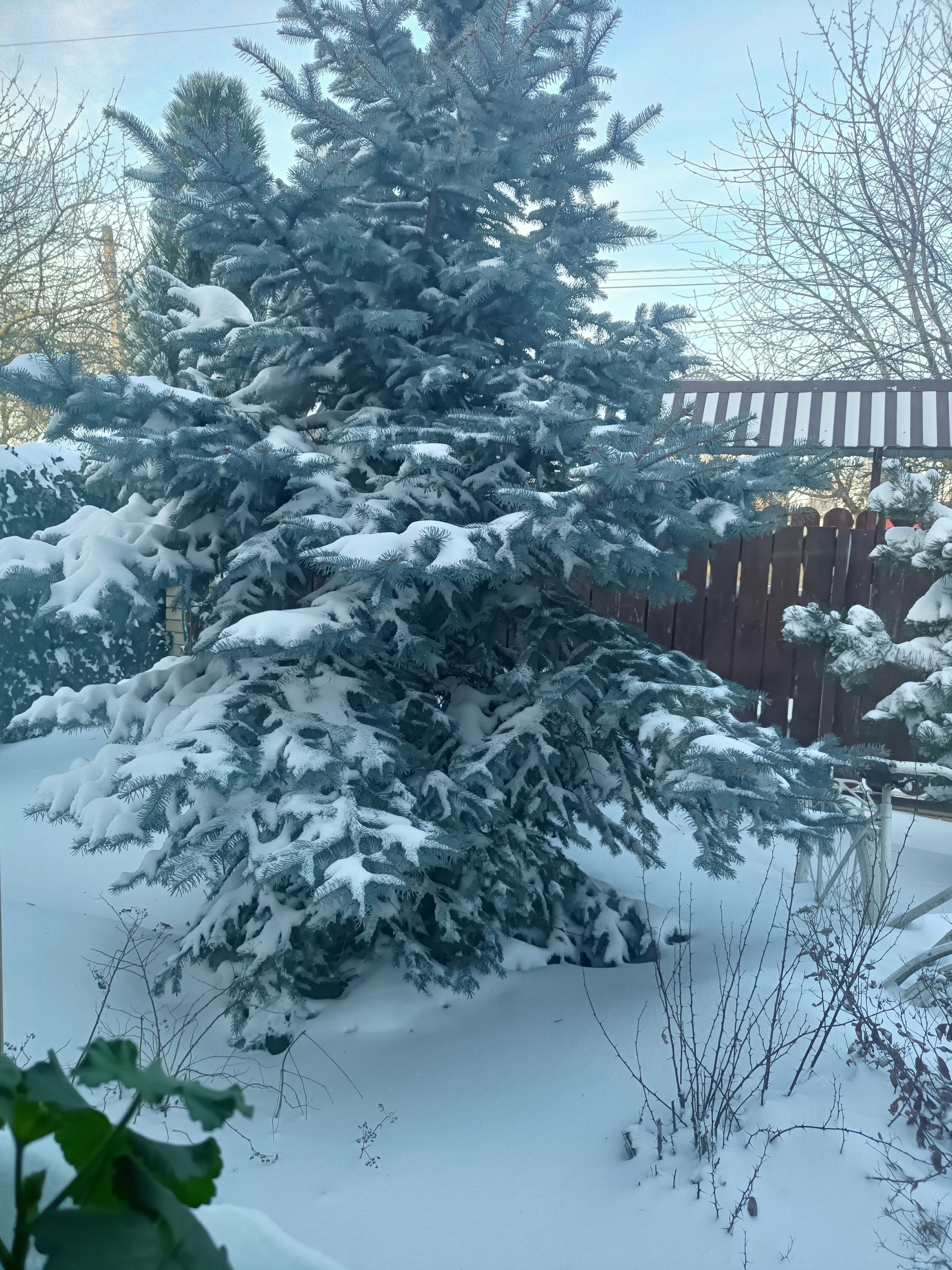 Стандартный четырехместный номер