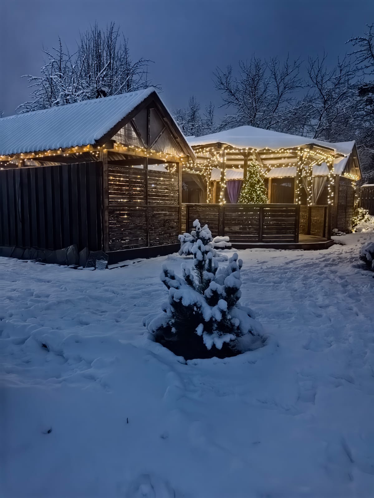 Двухместный номер с 1 кроватью или 2 отдельными кроватями и террасой