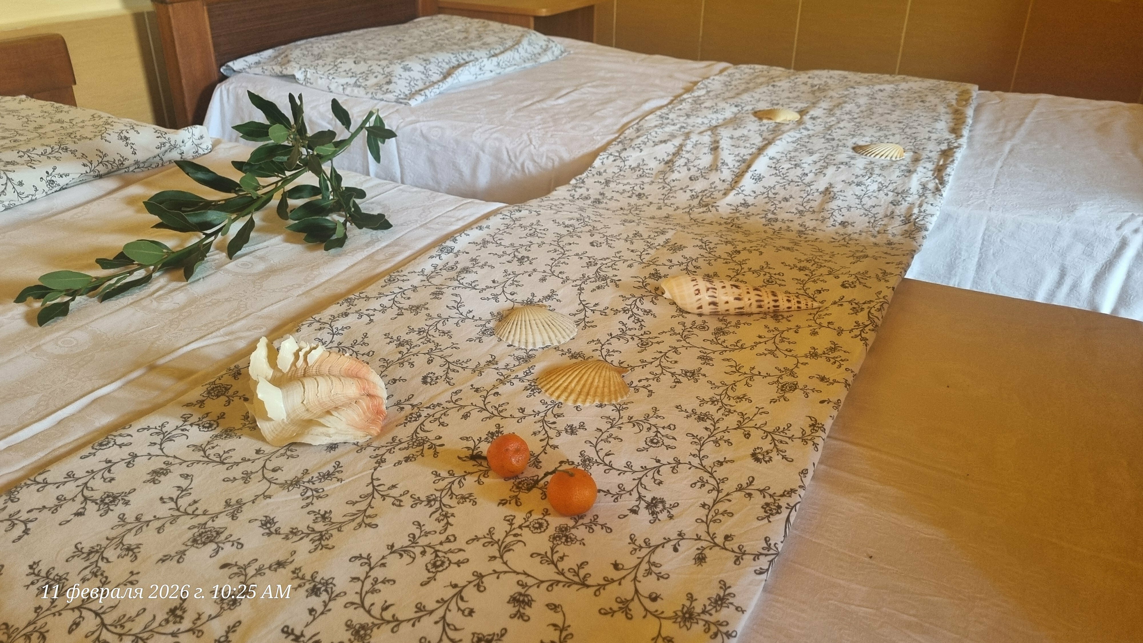 Апартаменты с террасой