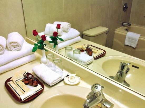 Executive Suite Connecting Room