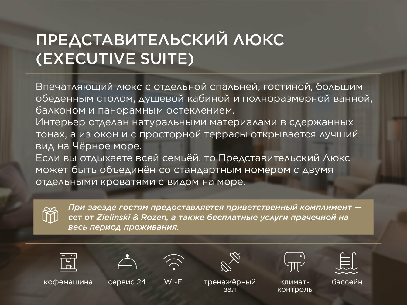 Представительский Люкс (Executive Suite)