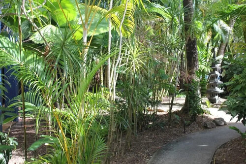 Люкс Comfort в Bohemia Resort Cairns