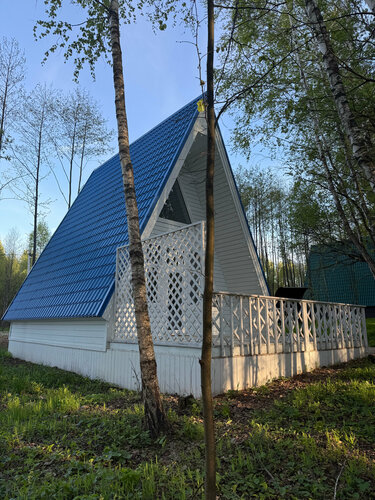 Белоснежный А-фрейм с видом на лес