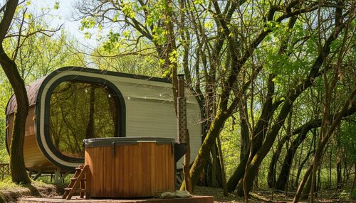 Капсула в лесу
