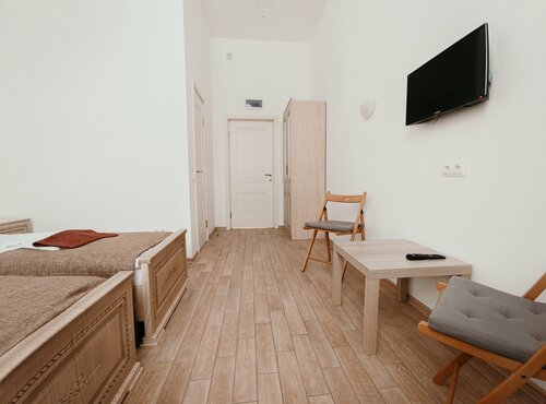 Стандарт TWIN