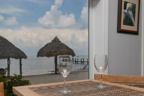Pelican Not Pet-Friendly в Sunset Cove Beach Resort
