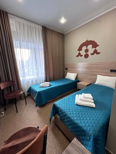 Двухместный номер Делюкс с 2 отдельными кроватями