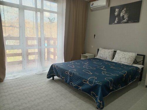 Двухместный номер с 1 кроватью и балконом