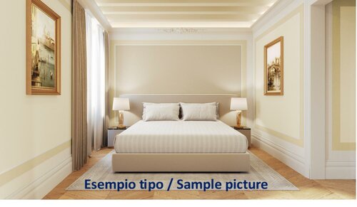 Comfort Deluxe Double Room with Garden View в Palazzo Giovanelli Gran Canal Venezia