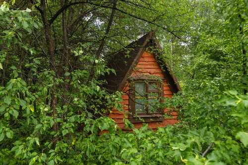 Летний шалаш