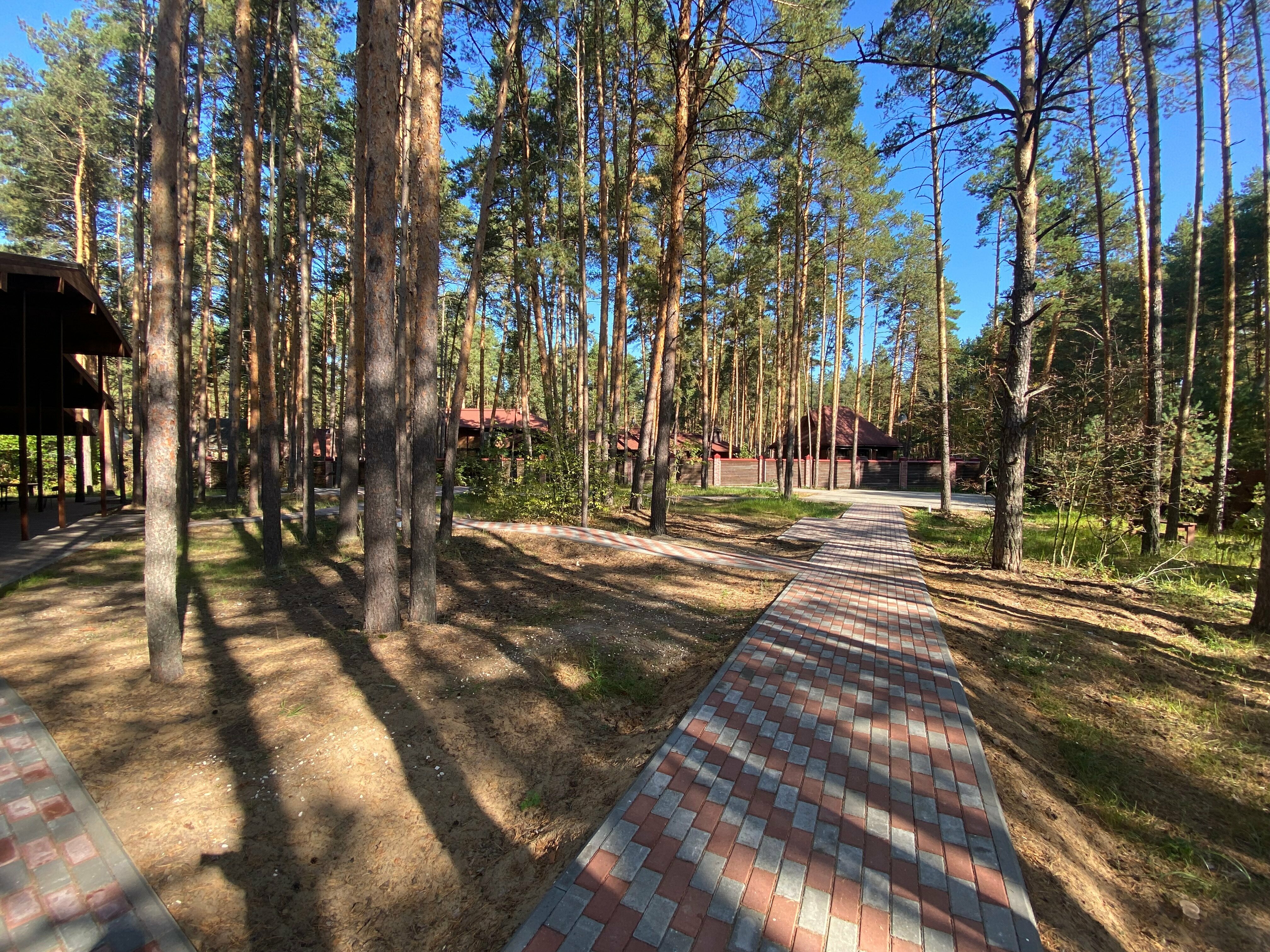 Двухместный номер Делюкс с 1 кроватью и душем