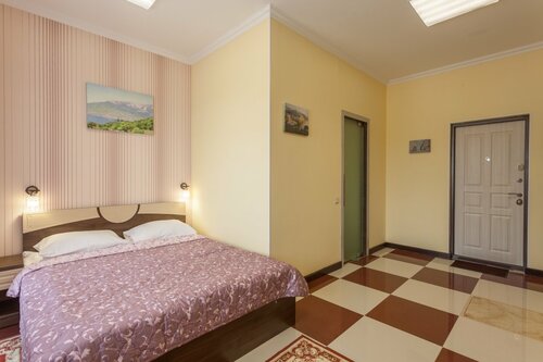 Двухместный номер с 1 кроватью и балконом