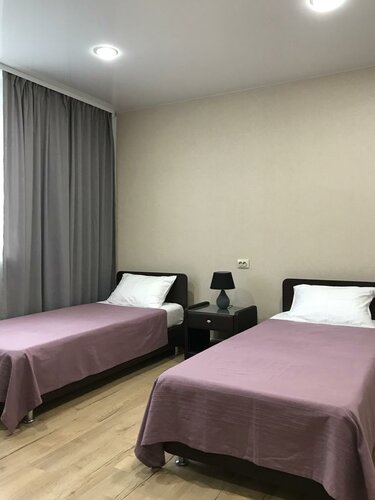 Стандартный номер с 2 односпальными кроватями и диваном в Кедр