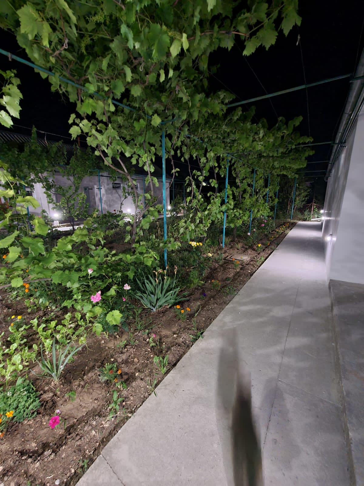 Улучшенный четырехместный номер