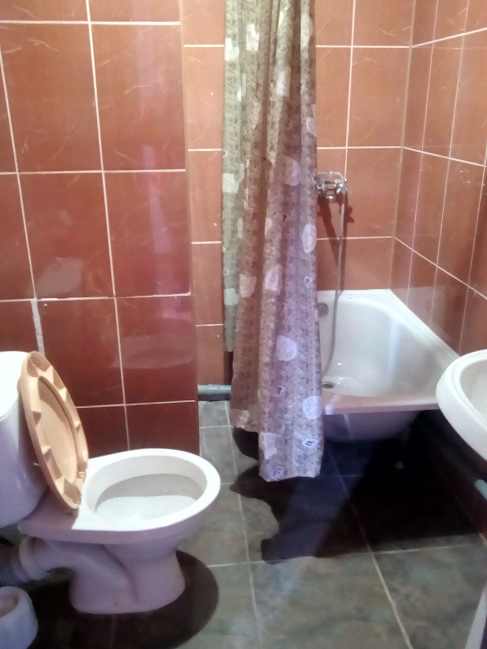 Двухместный номер с 1 кроватью или 2 отдельными кроватями