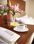 Улучшенный двухместный номер с 1 двуспальной кроватью в Fenix Inn
