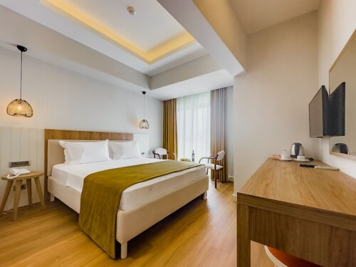 Двухместный номер с 1 двуспальной кроватью в Dedeoglu Hotel