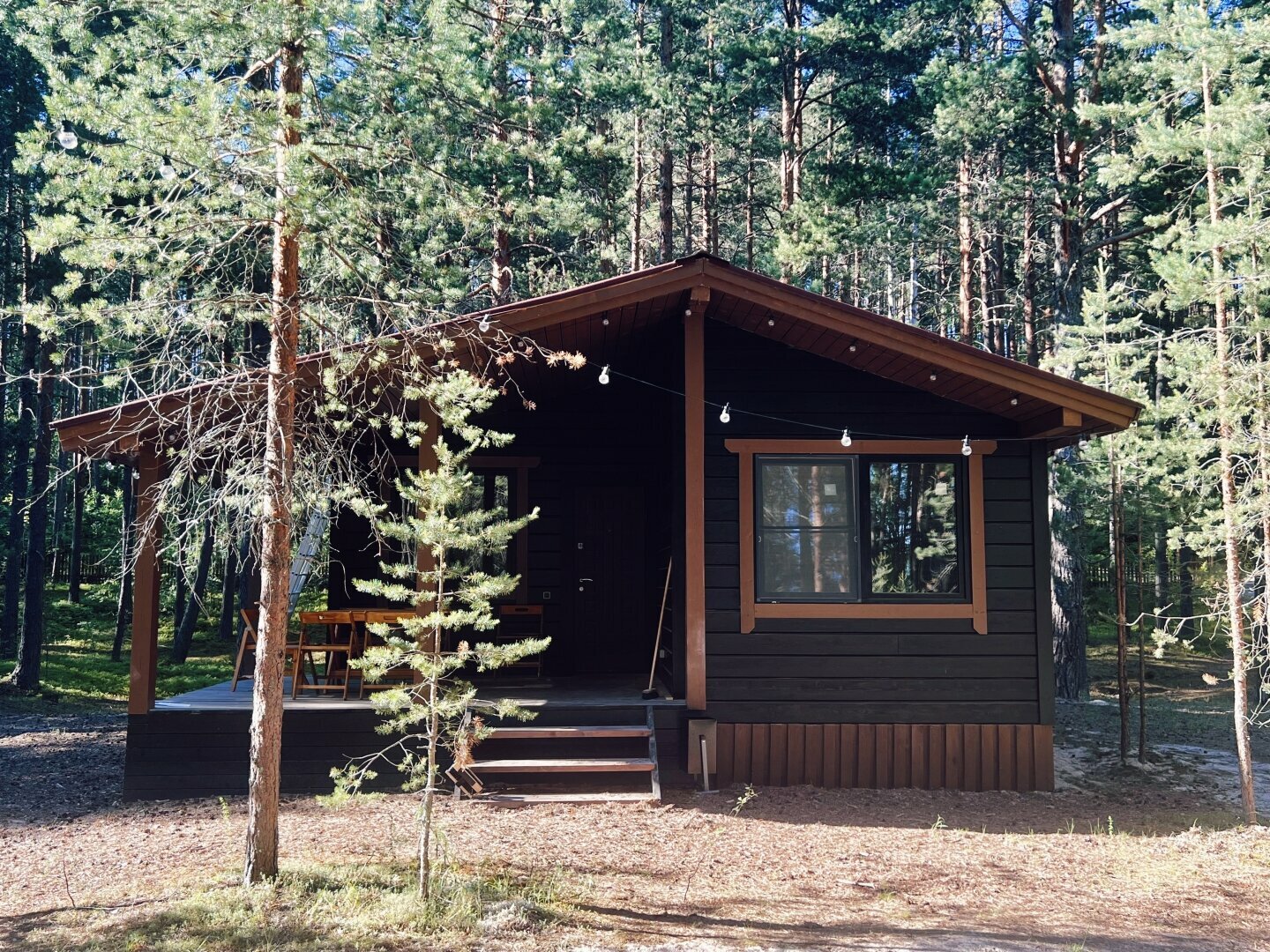 Дом с видом на лес