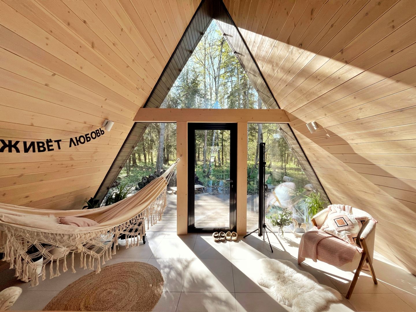 Эстетичный афрейм с панорамным видом на дикий лес