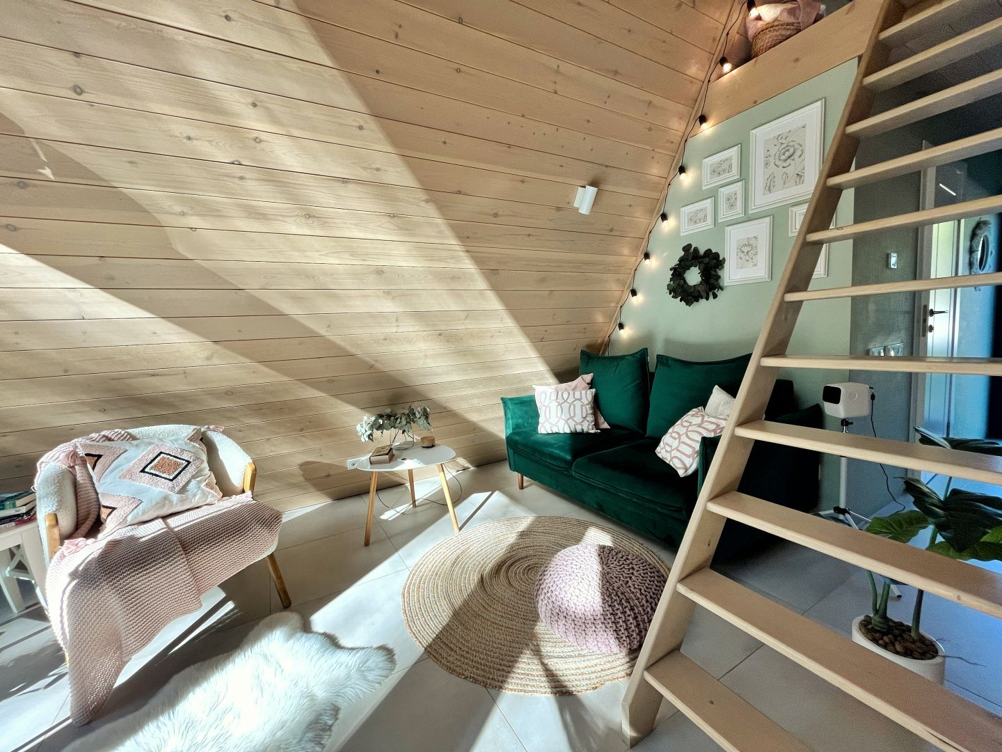 Эстетичный афрейм с панорамным видом на дикий лес