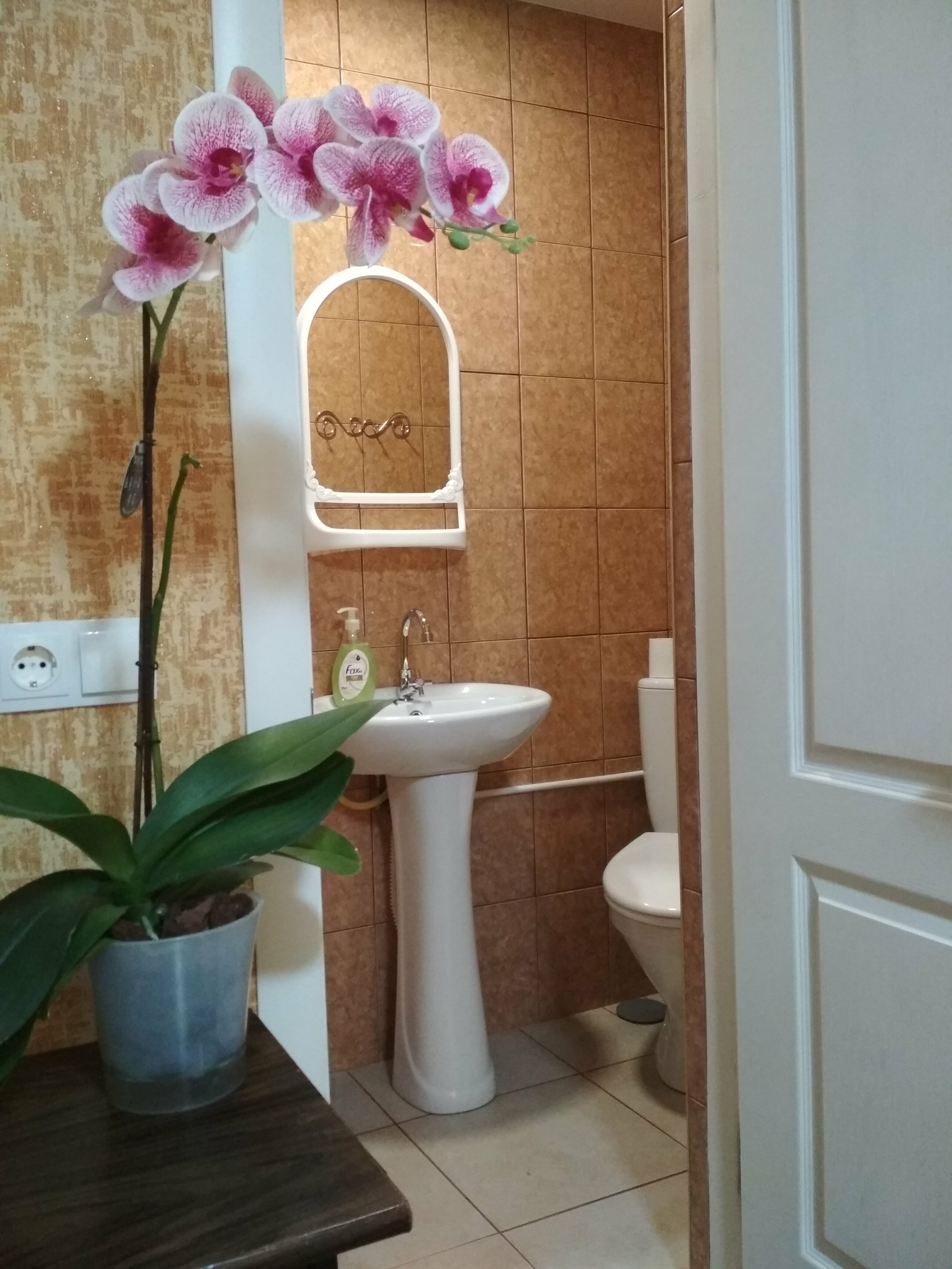 Семейный номер с душем