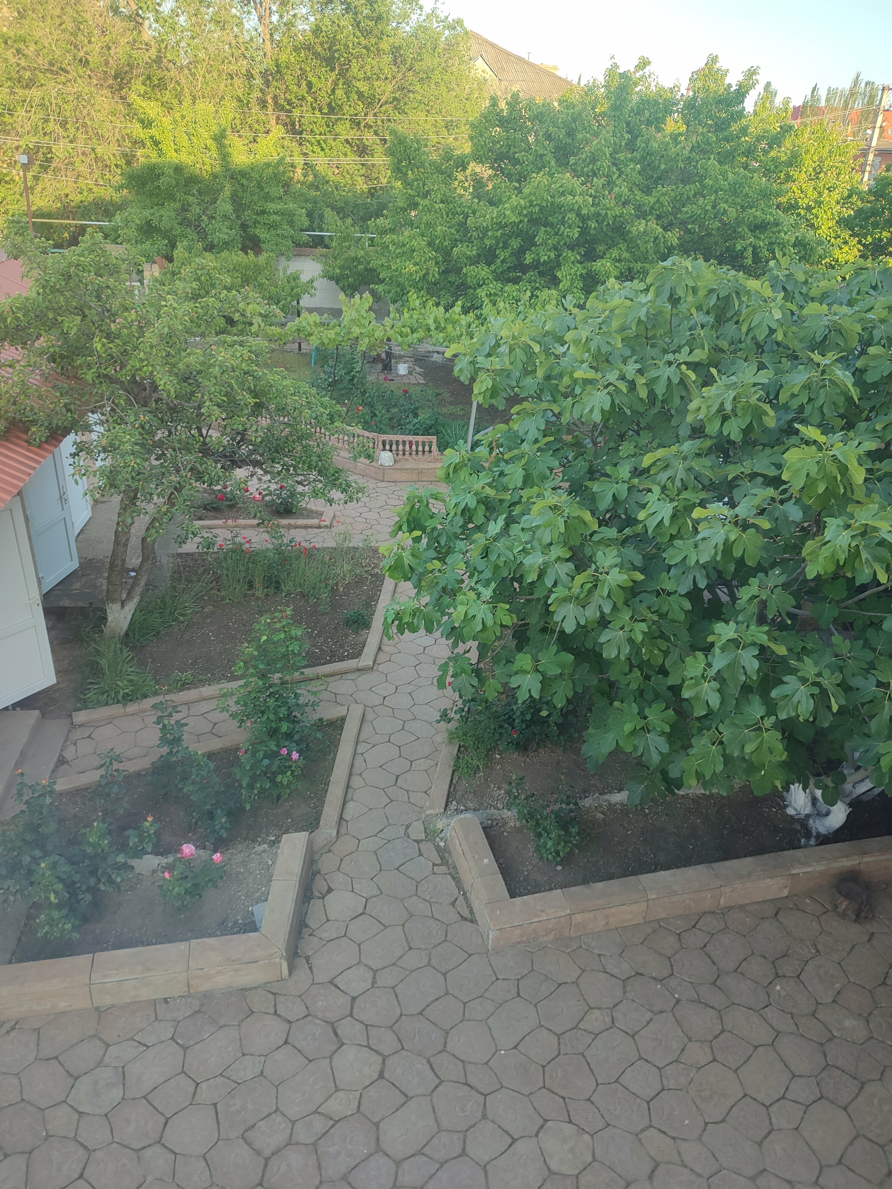 Большой двухместный номер с 1 кроватью