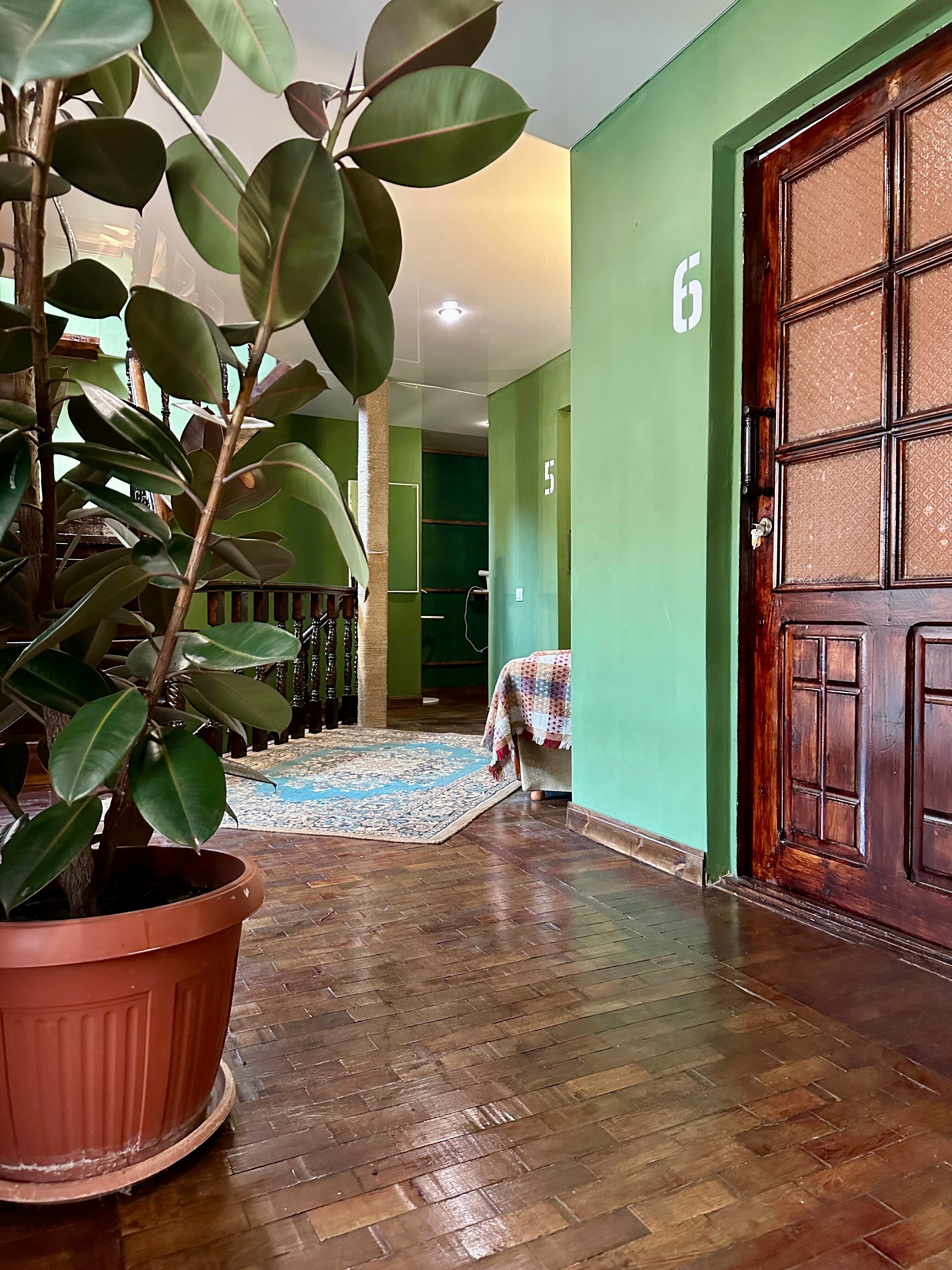 Общий номер для женщин с 4 кроватями