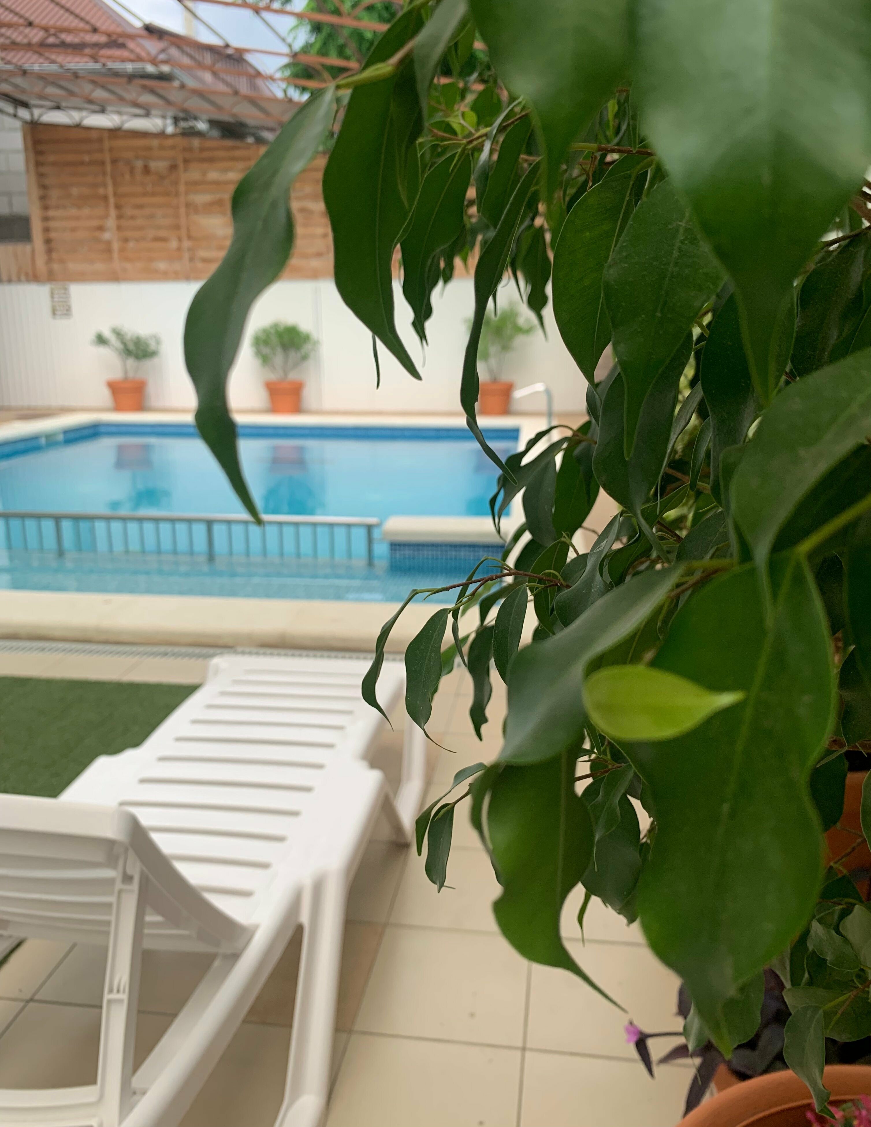 Апартаменты с 1 спальней