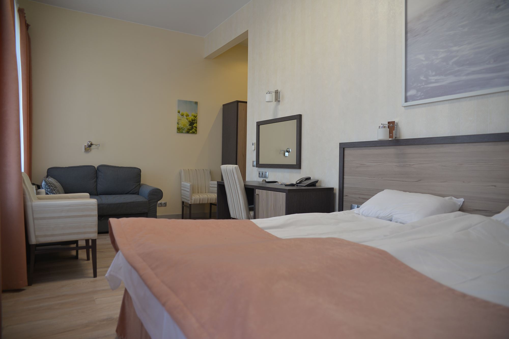 Семейный двухместный номер с 1 кроватью