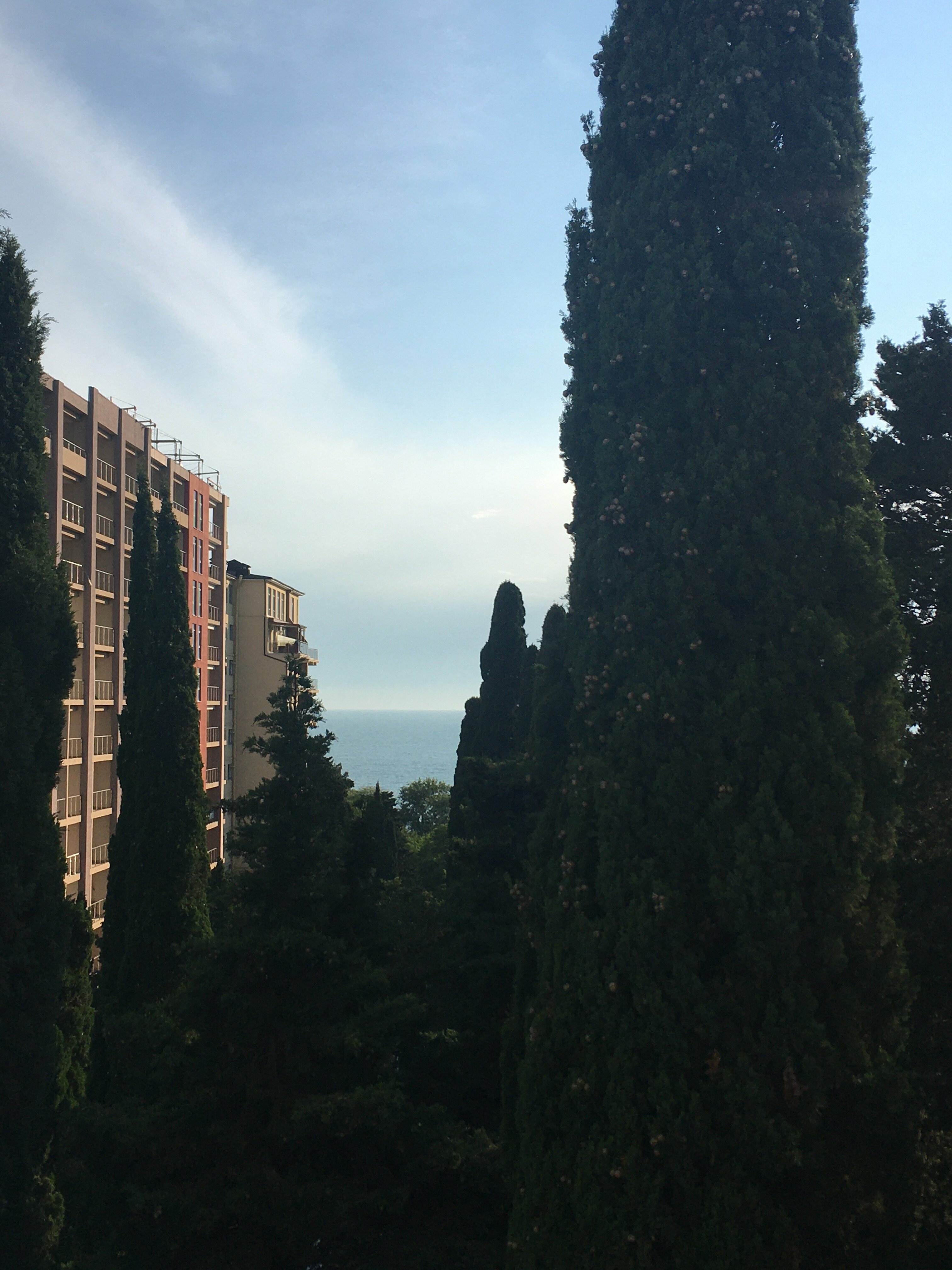 Апартаменты с 1 спальней