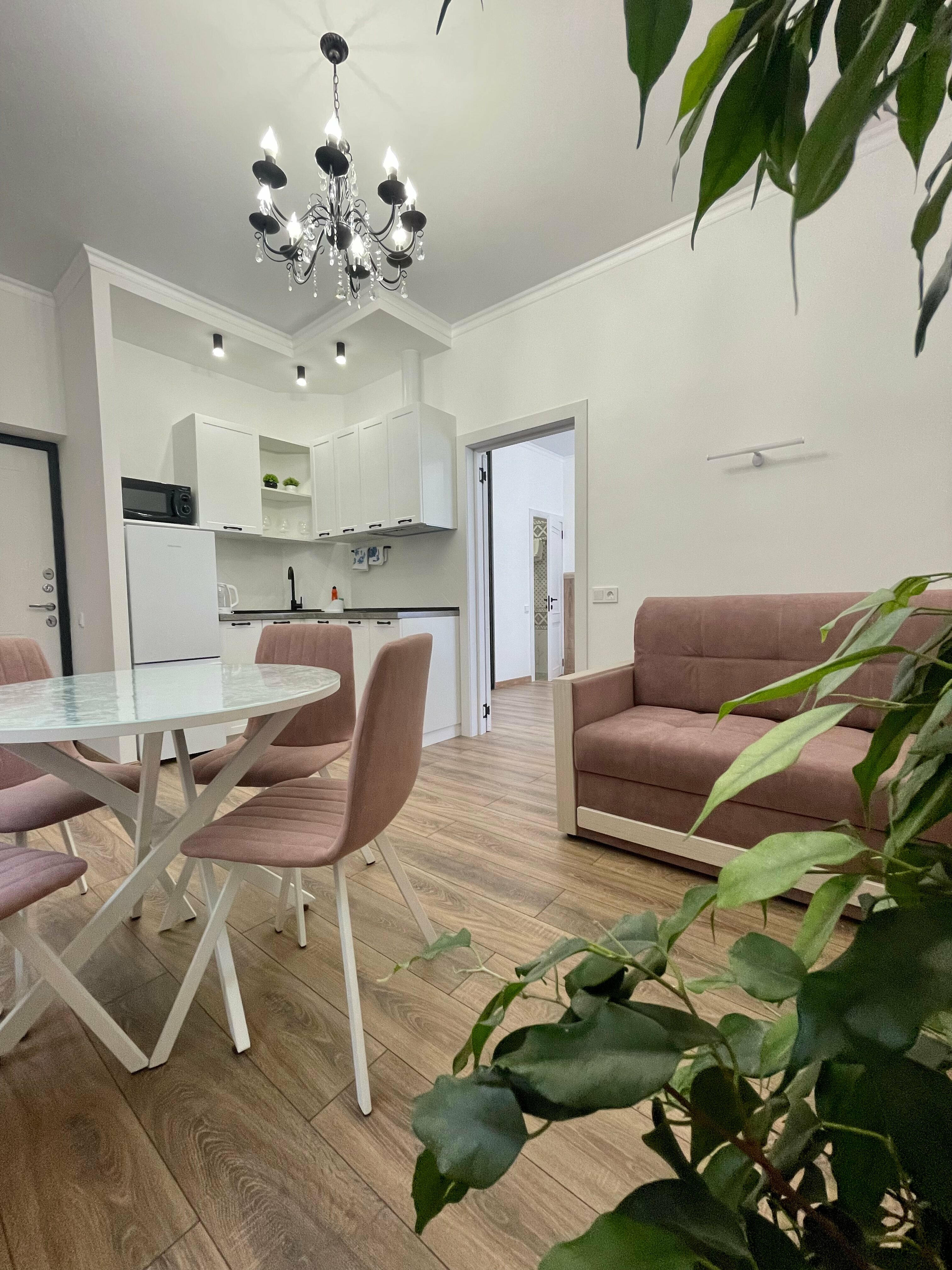 Апартаменты с 1 спальней