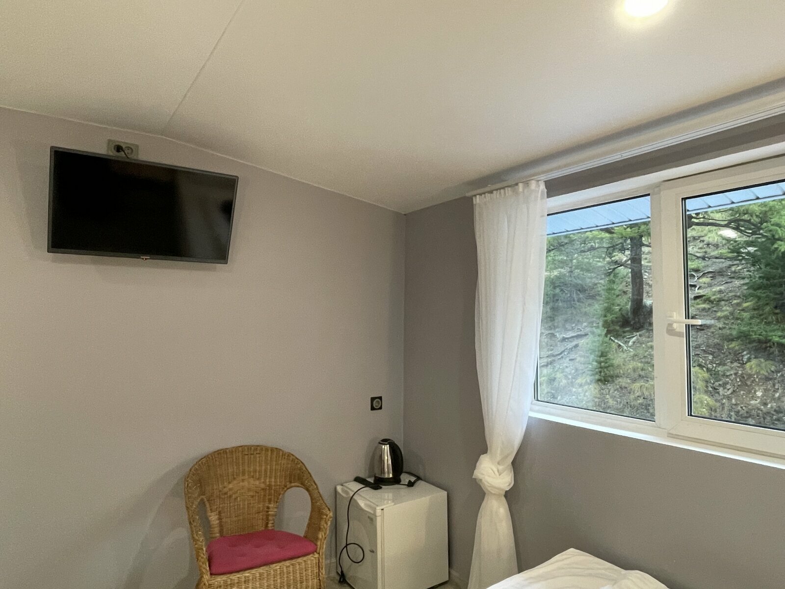 Двухместный номер с 1 кроватью или 2 отдельными кроватями