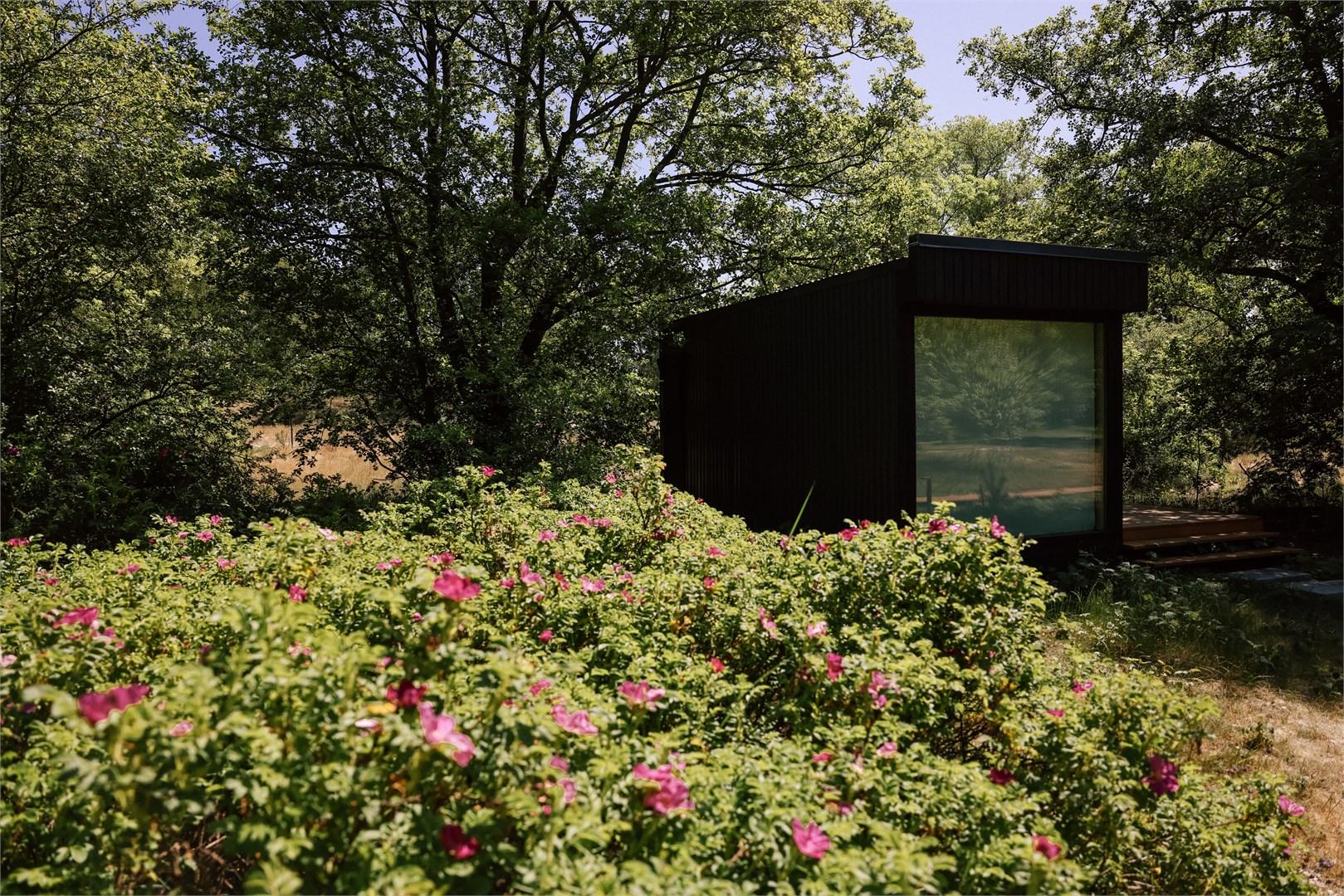 Малый Хитте с террасой и панорамным окном | красивый вид на зеленую территорию