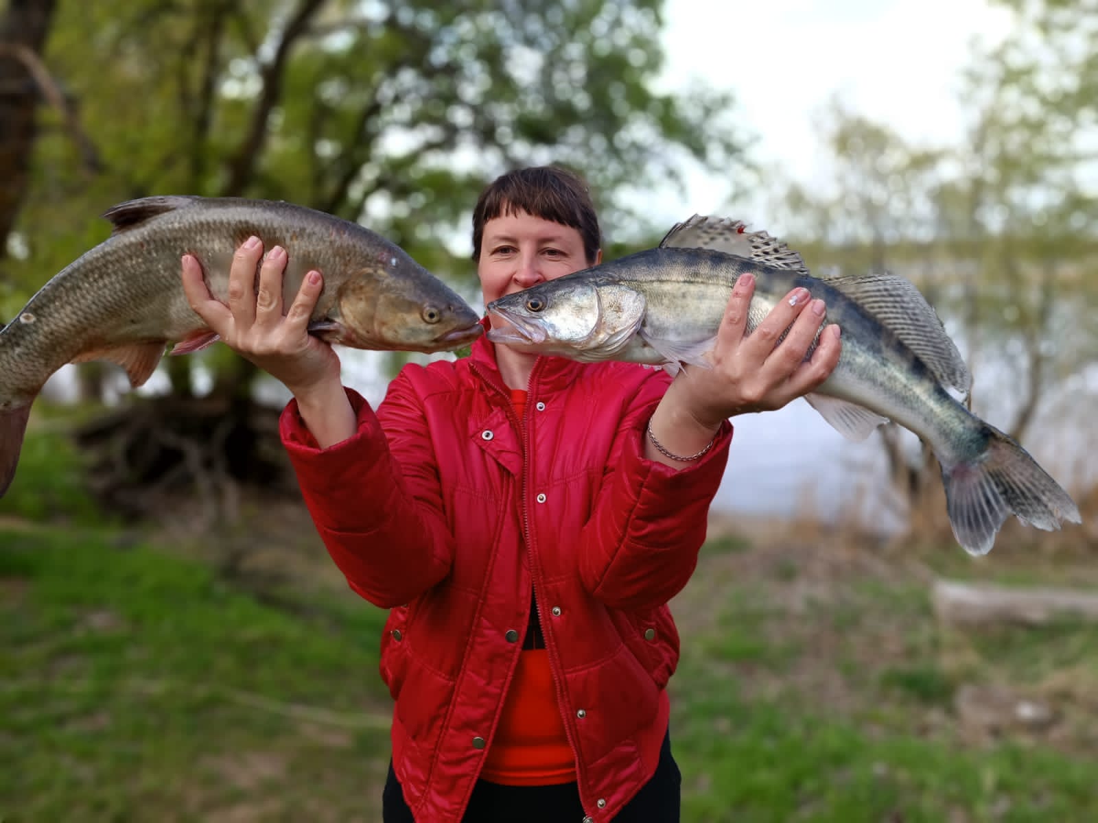 Четырехместный номер «Премиум»