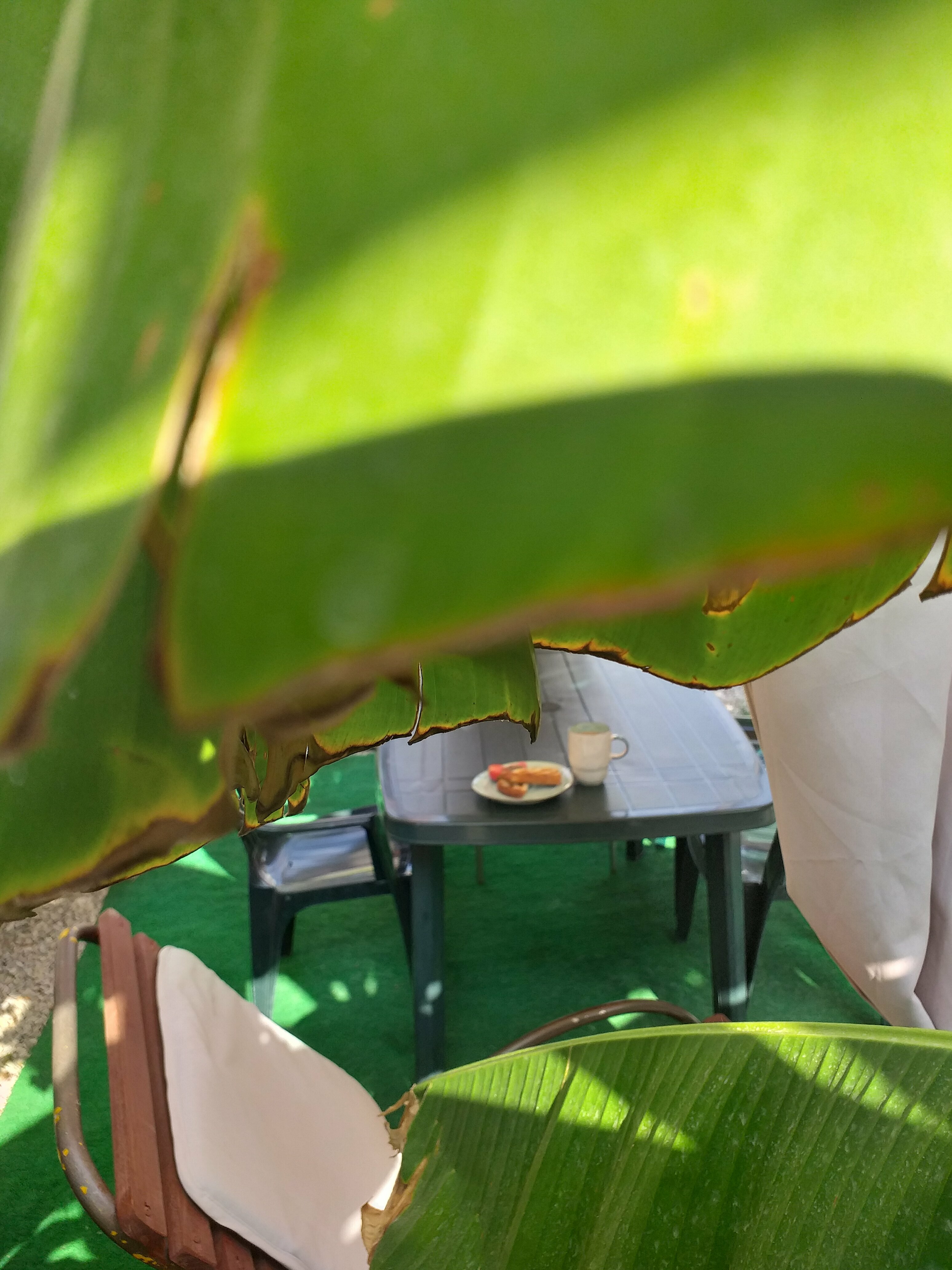 Представительский номер с 2 кроватями размера "queen-size"