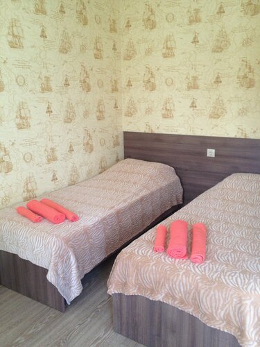 Двухместный номер с 2 отдельными кроватями и душем в Ромалина