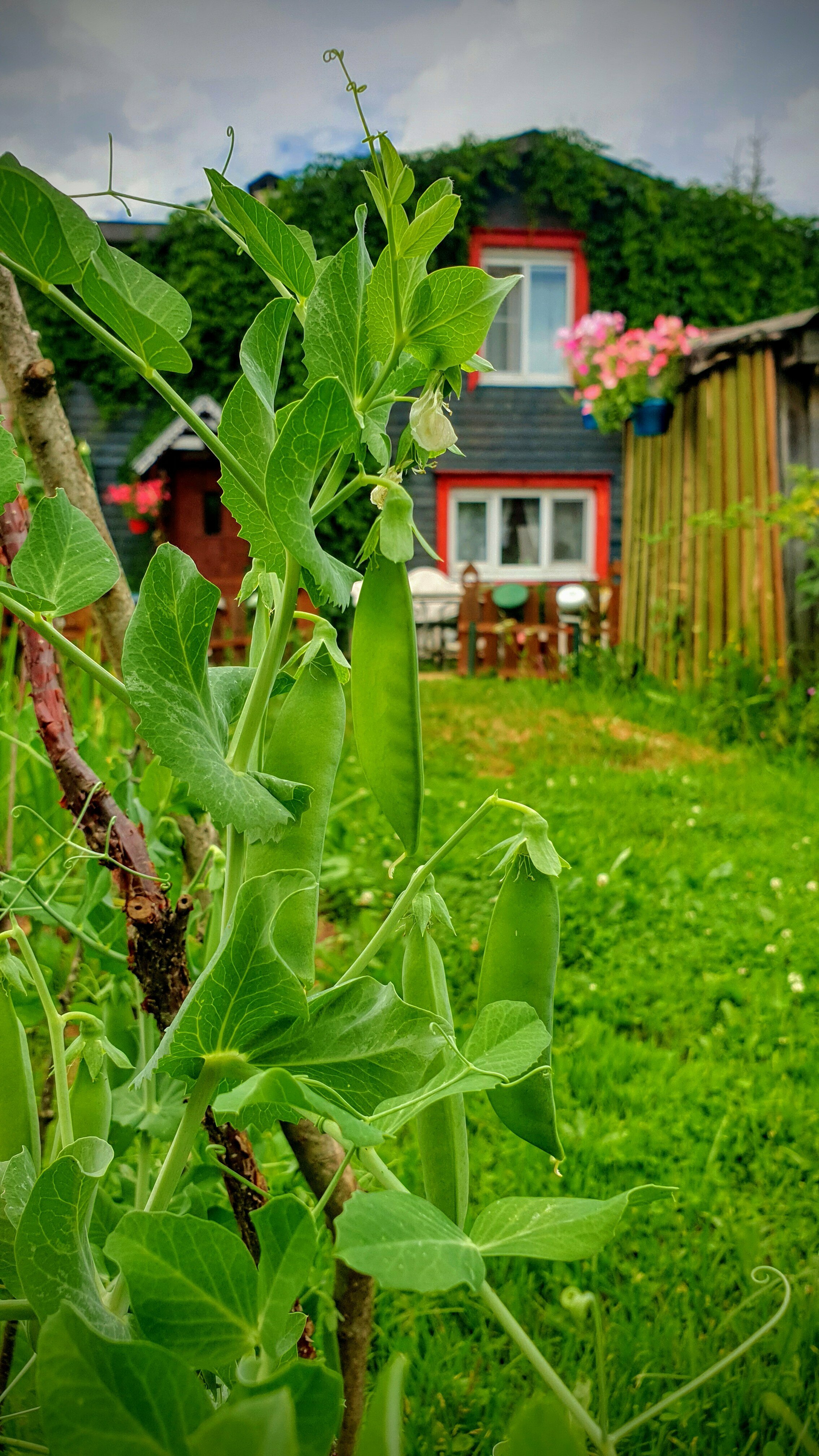 Дом для отпуска