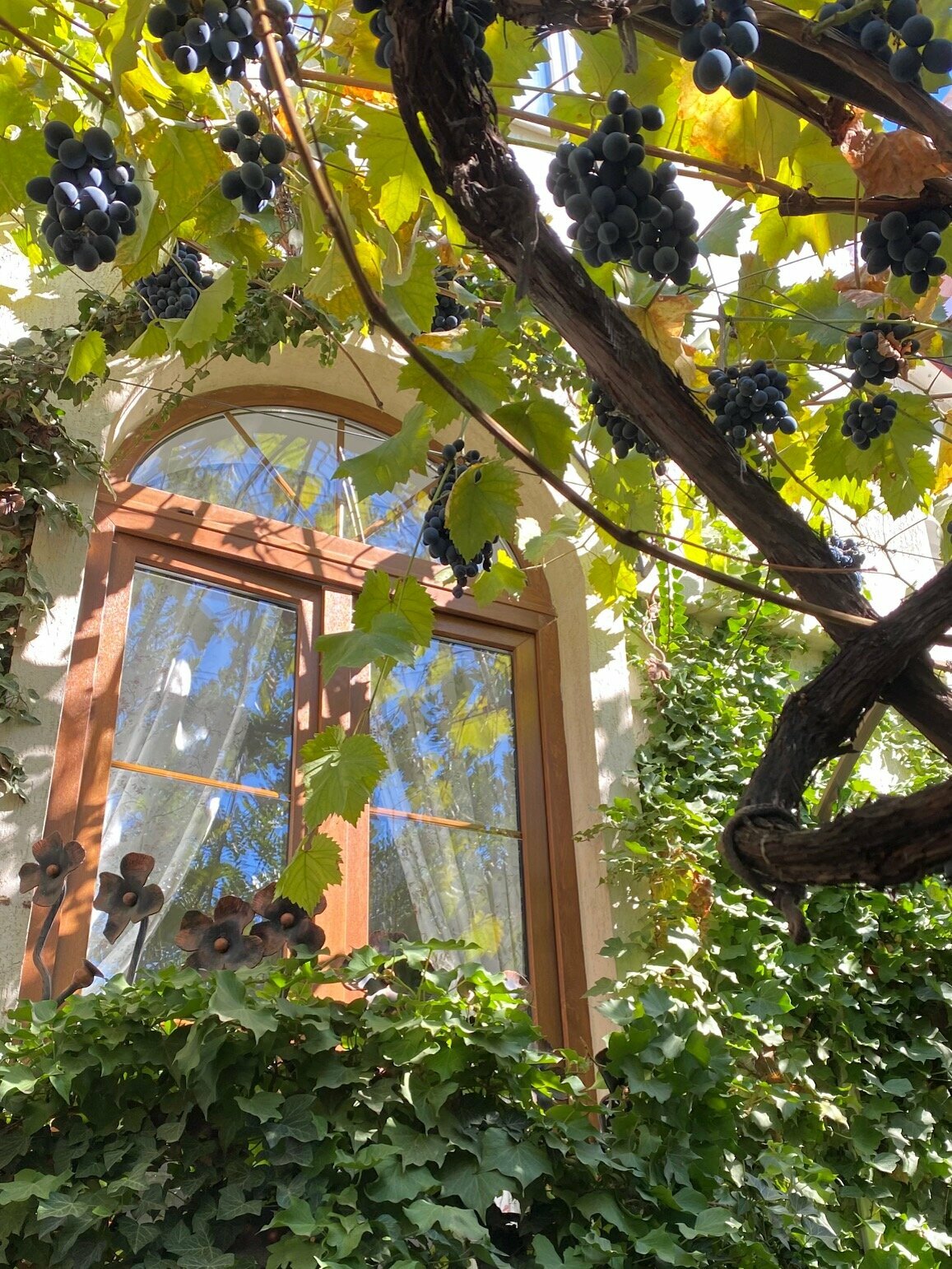 Двухместный номер с 1 кроватью и террасой