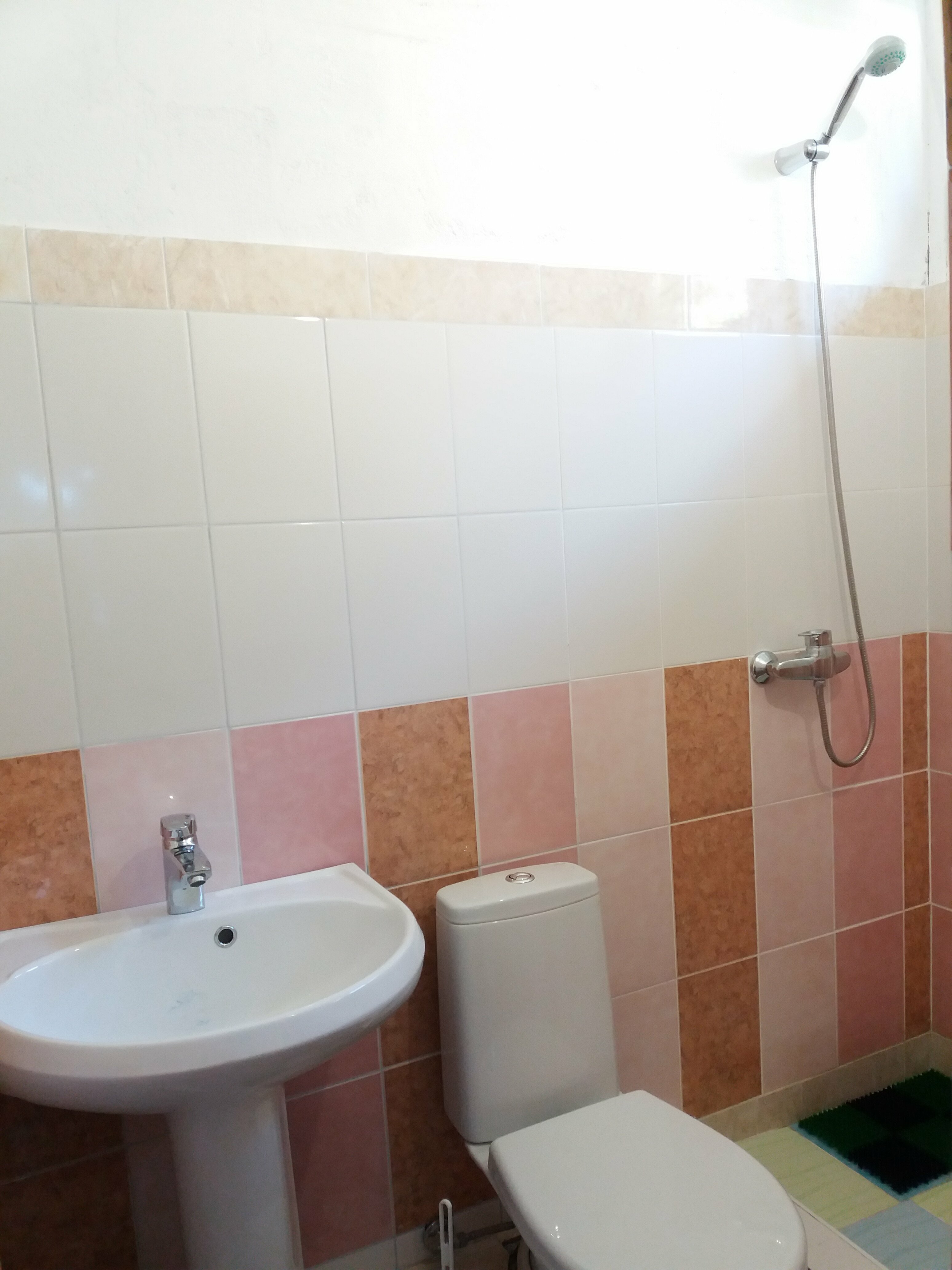 Двухместный номер с 2 отдельными кроватями и душем