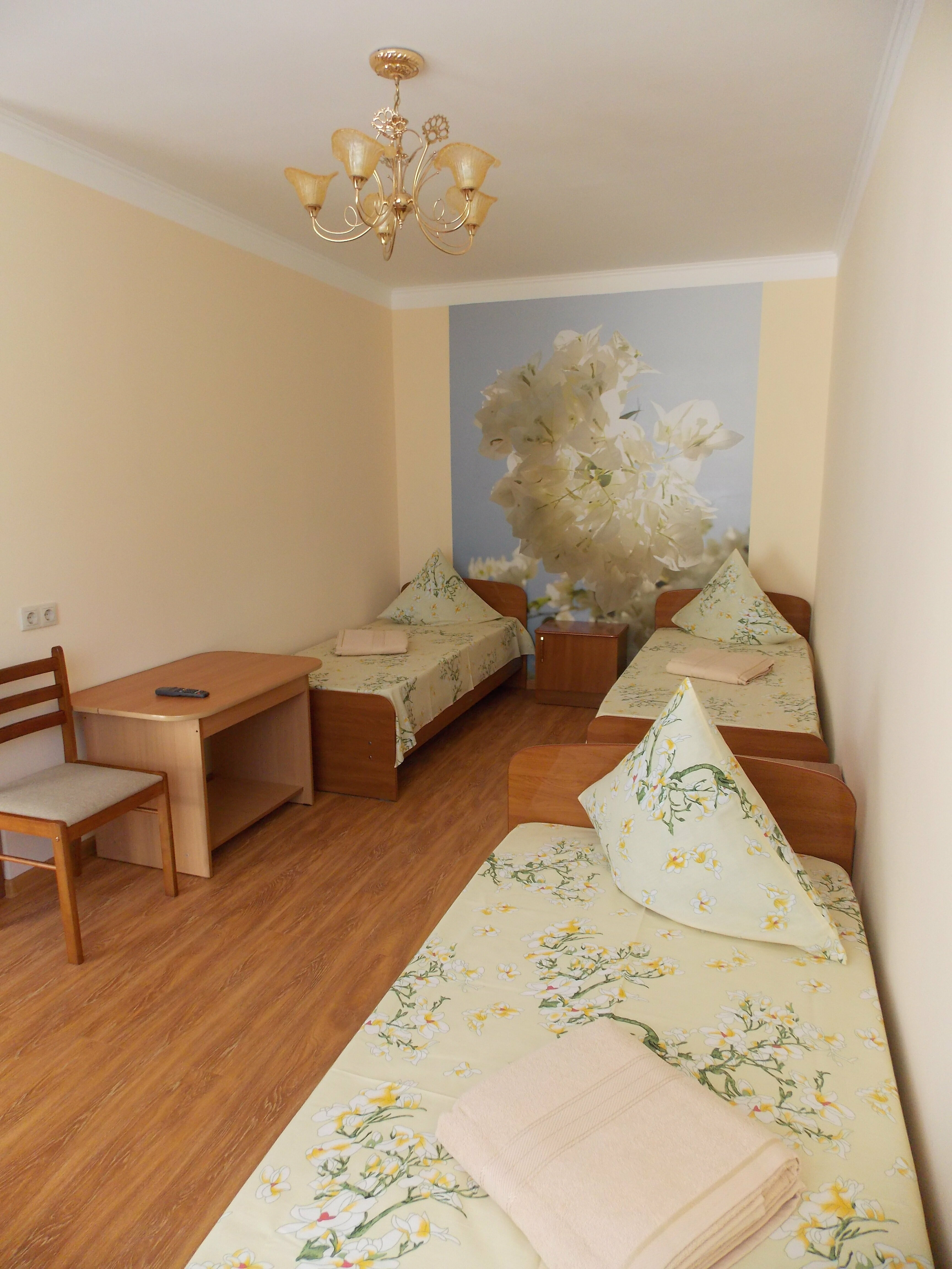 Трехместный номер с собственной ванной комнатой