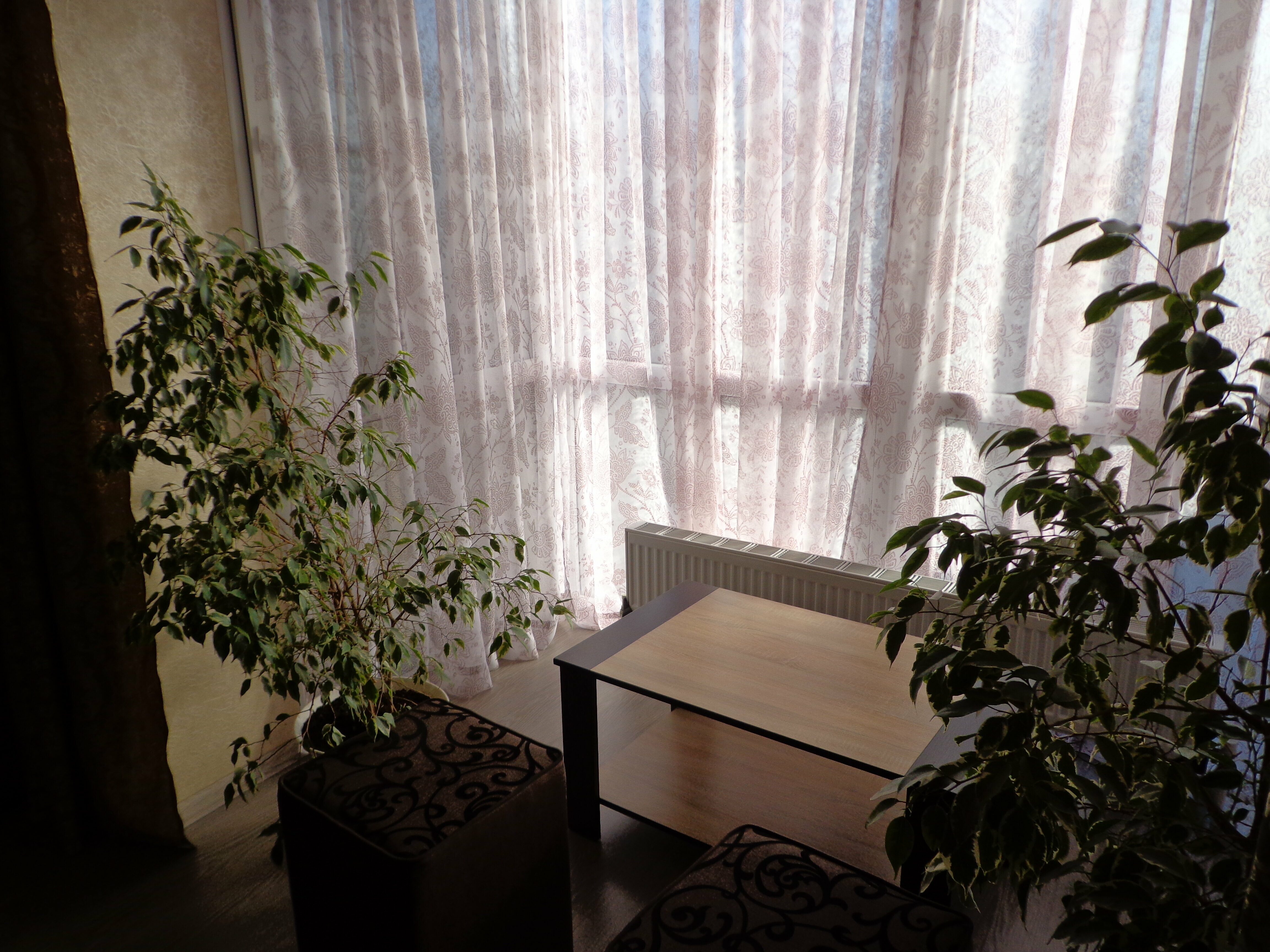 Семейный полулюкс