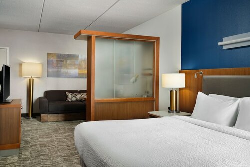 Студия в Springhill Suites by Marriott Pittsburgh Mt. Lebanon
