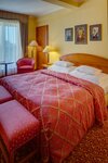 Стандартный двухместный номер с 1 двуспальной кроватью в Hotel Savoy