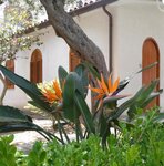 Стандартный четырехместный номер, вид на сад, первый этаж в Villaggio Residence Testa di Monaco