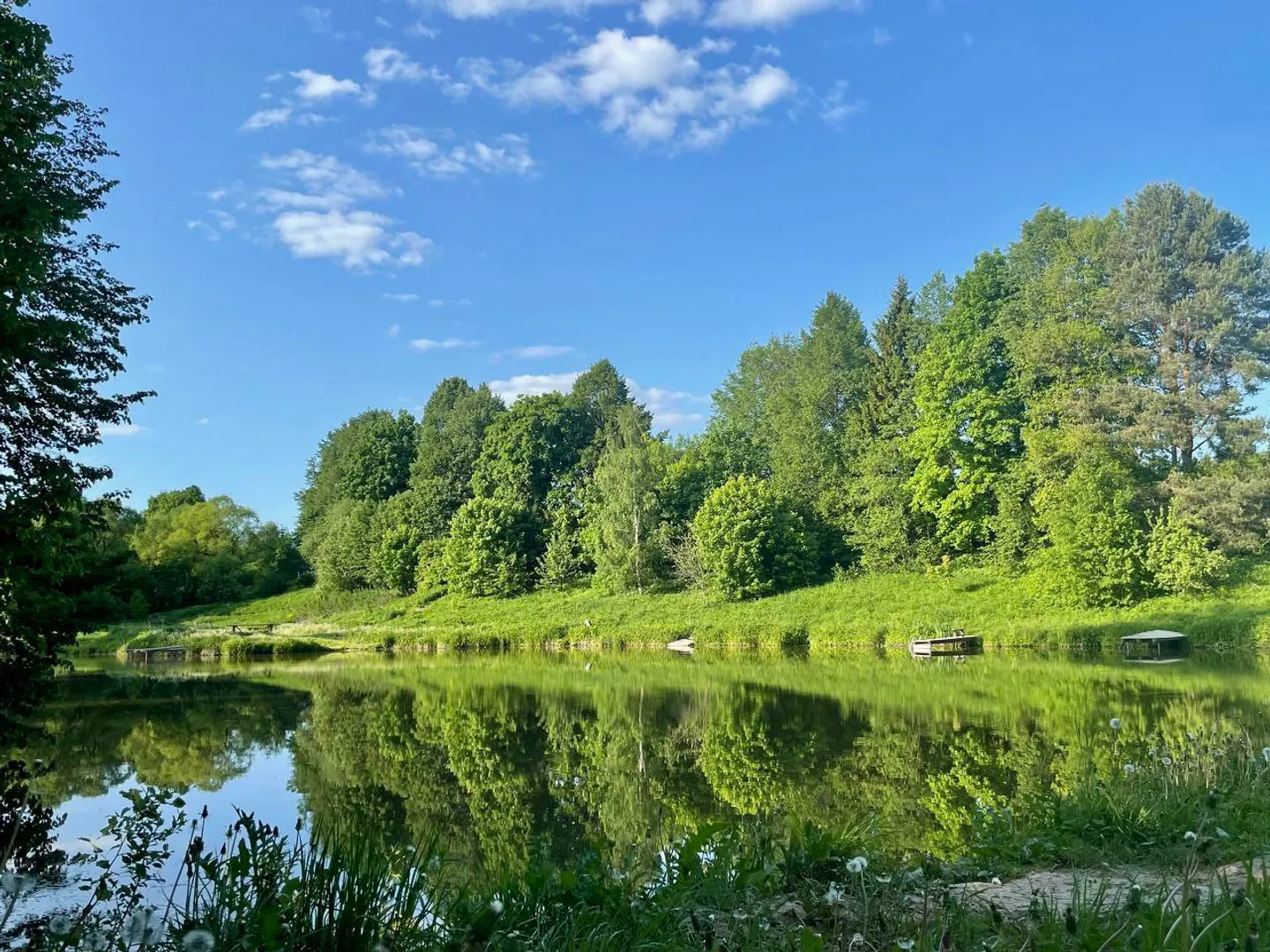 Дом с видом на лес