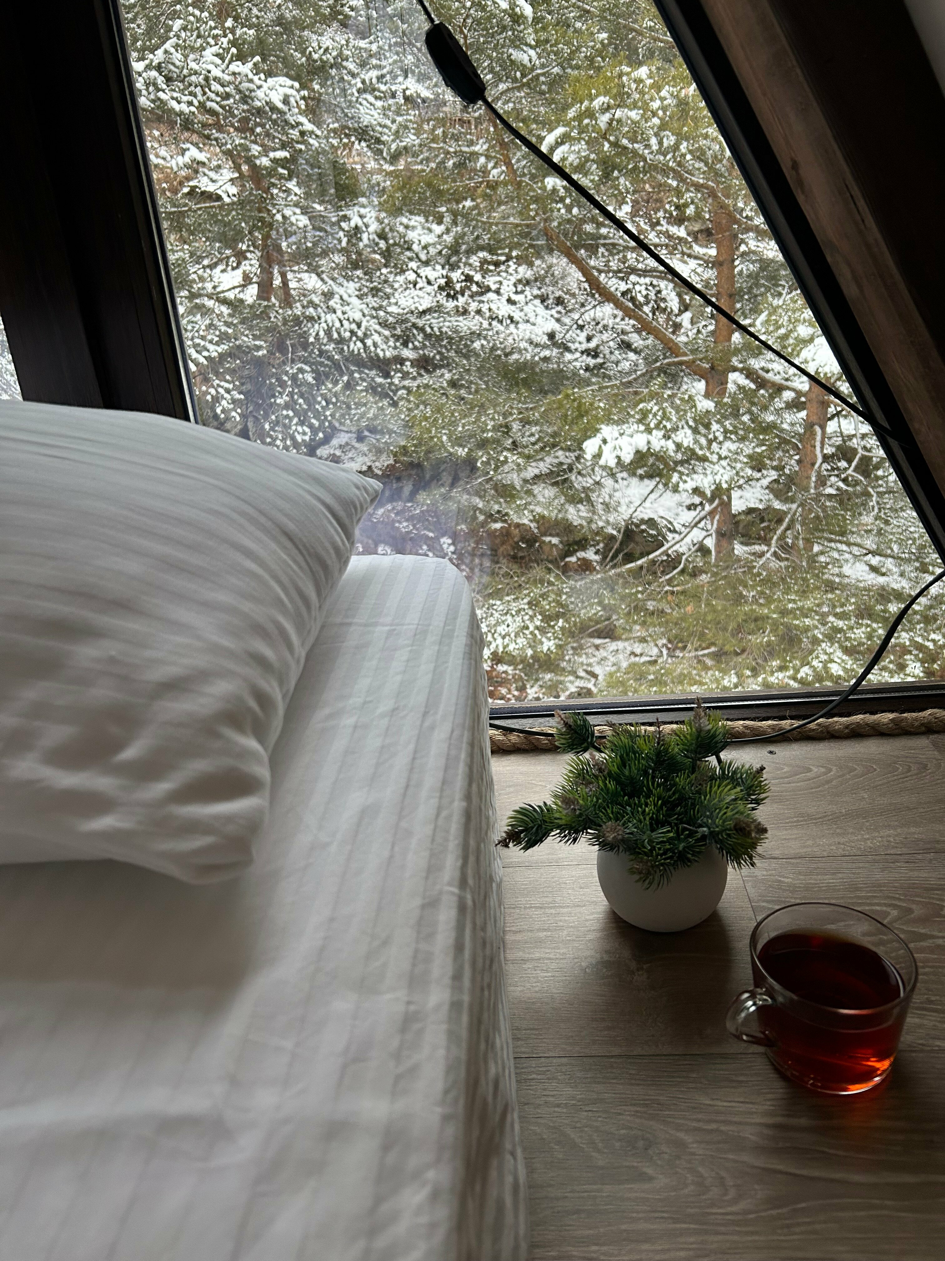 Двухместный номер с 1 кроватью или 2 отдельными кроватями, вид на горы