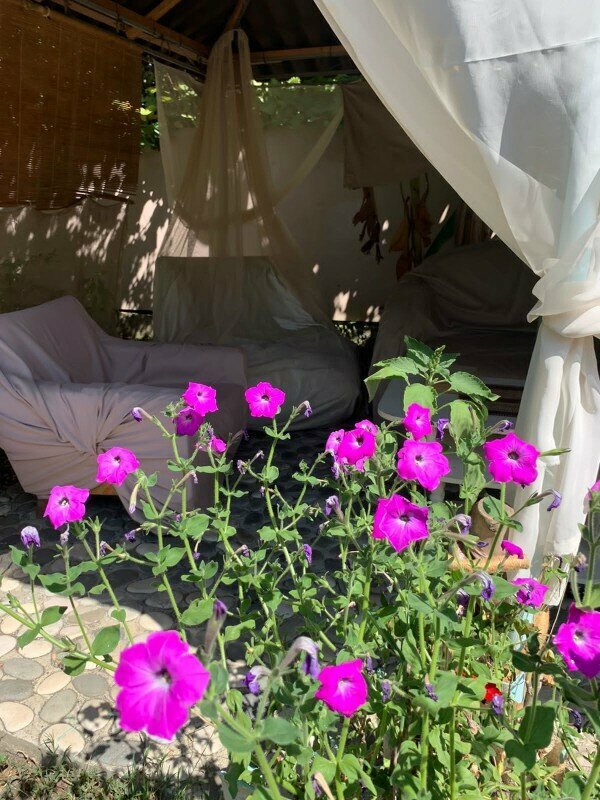 Четырехместный номер с видом на сад