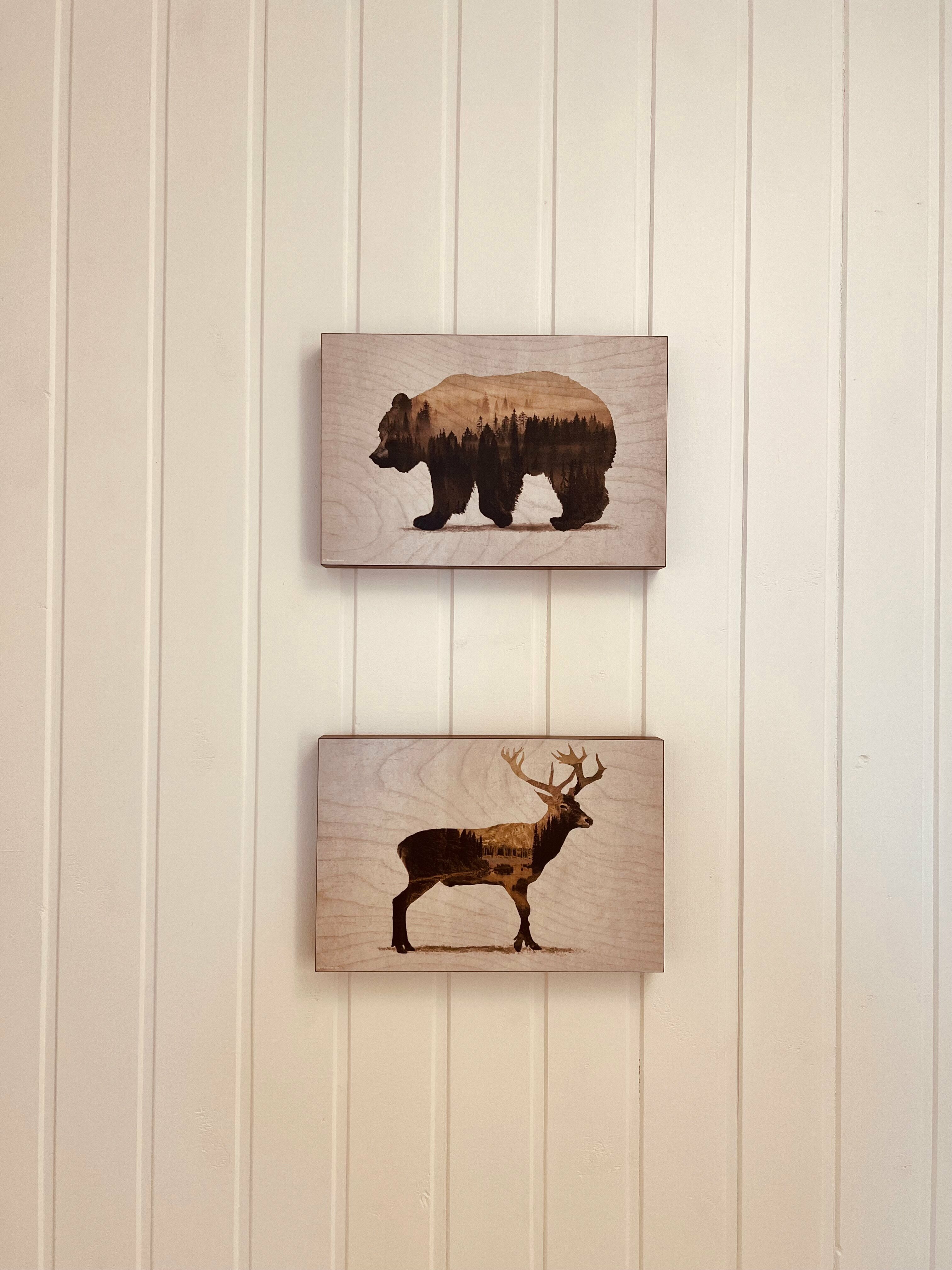 Номер-студия - Двухуровневый