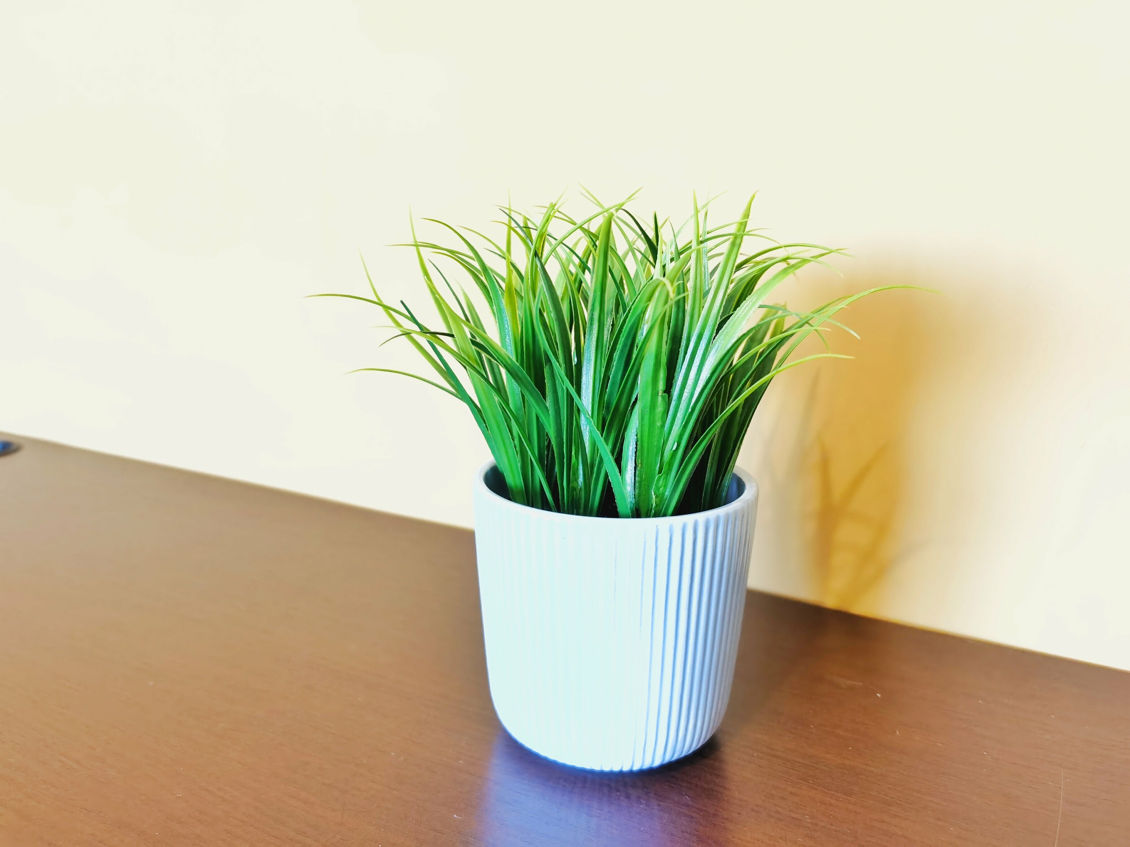 Семейный номер с видом на озеро